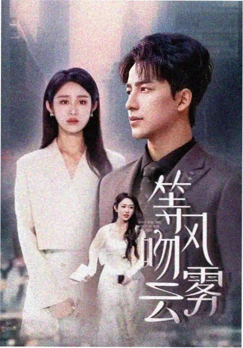 回声档案 剧集封面